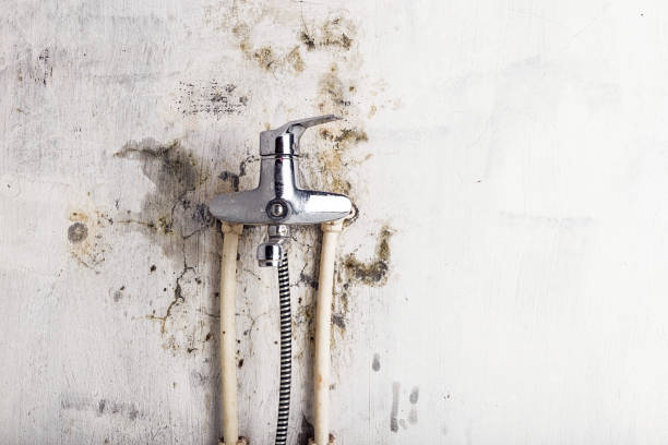Best Water Damage Restoration  in Mulgee, OK