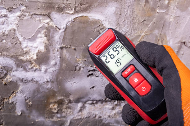 Trusted Okmulgee, OK Mold Removal Experts