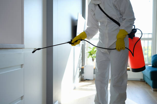 Best Professional Mold Removal  in Mulgee, OK