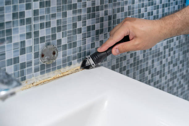 Best Home Mold Removal  in Mulgee, OK