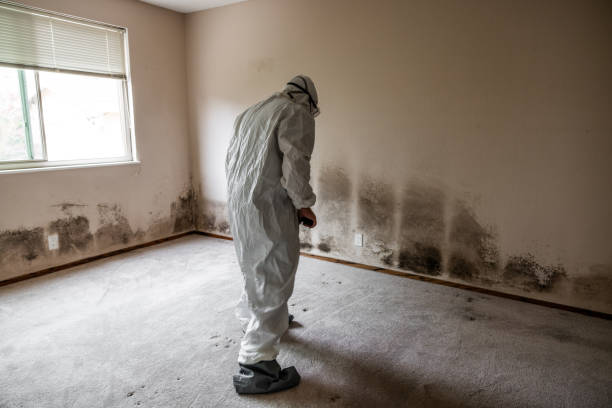 Best Crawl Space Mold Removal  in Mulgee, OK
