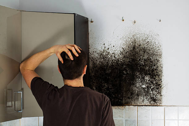 Best Mold Remediation  in Mulgee, OK